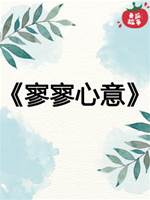 寥寥心意