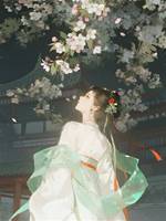 宮墻嫣雨
